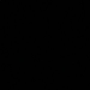 Meet your Posher, Lucy